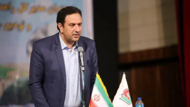 محمد تیموری