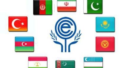 بررسی توسعه کریدورهای ریلی و جاده ای کشورهای عضو اکو