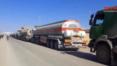 اعلام تخلف ۶۵ شرکت حمل‌ ونقل در صدور بارنامه‌ صوری/محکومیت ۲۵ میلیاردی ۳۲ شرکت متخلف