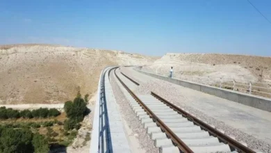 افزایش ۲۵ درصدی بارگیری سنگ آهن در راه آهن فارس ثبت شد