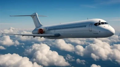 پرواز هواپیماهای MD به عراق فقط برای ۲۰ روز مجاز است